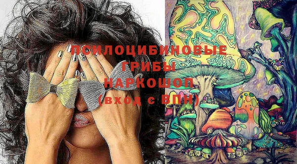 мдма Козловка